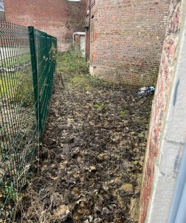 jardin et cave possibilité profes